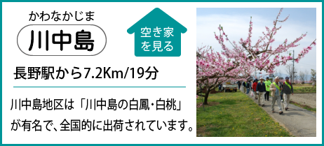 川中島 長野駅から7.2Km/19分 川中島地区は「川中島の白鳳･白桃」が有名で、全国的に出荷されています。