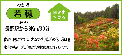 若穂（保科） 長野駅から8Km/30分 春から夏はつつじ、さるすべりなどの花、秋は清 水寺のもみじなど豊かな景観に恵まれています。